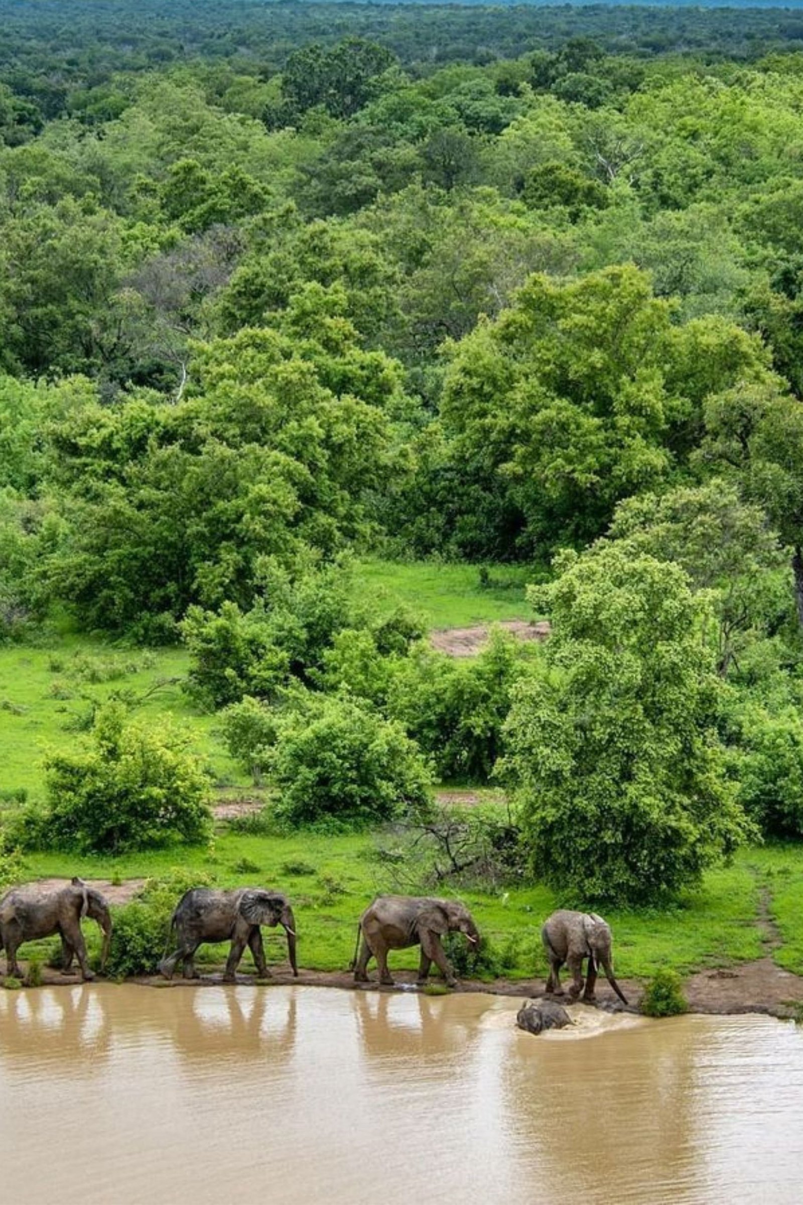 Mole National Park